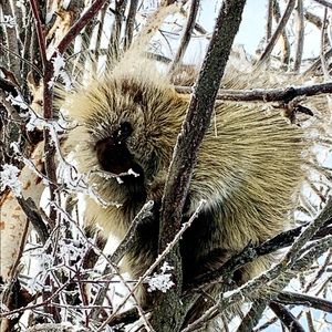 Meet your Posher, Marty